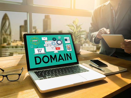 Domain Name Disputes