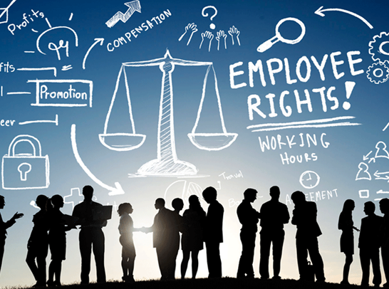 Employment Law